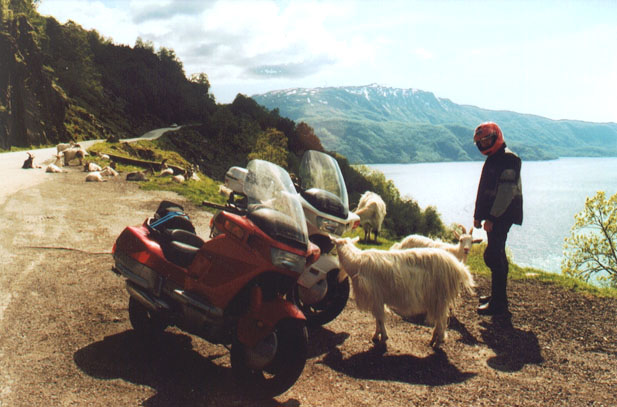 goatfjord.jpg (70880 bytes)